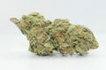 Tangie
